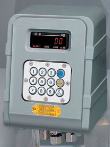Weighing Indicator-Đầu cân chống cháy nổ EXP-2000