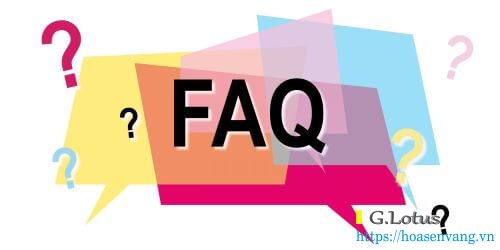 faq-dini-argeo-lotusscale-1 Được Cân bàn công nghiệp điện tử Dini Argeo DFWL-1 đa nhiệm 150kg đủ Cân điện tử faq-dini-argeo-lotusscale-1 Được Cân bàn công nghiệp điện tử Dini Argeo DFWL-1 đa nhiệm 150kg đủ Cân điện tử