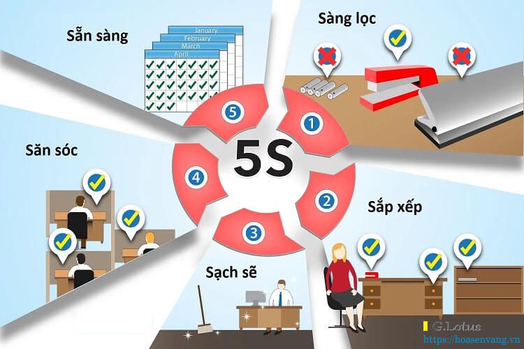 Tiện ích trong khoảng công cụ 5S trong sản xuất và kinh doanh Cân điện tử Hoa Sen Vàng