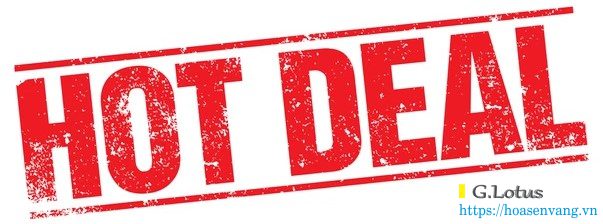 mua-can-dien-tu-hot-deal-hoasenvang-dse2342-2 Nắm lấy cơ hội Mua Cân bàn công nghiệp điện tử với tính năng đếm số lượng với các Công nghệ tiên tiến Cân điện tử mua-can-dien-tu-hot-deal-hoasenvang-dse2342-2 Nắm lấy cơ hội Mua Cân bàn công nghiệp điện tử với tính năng đếm số lượng với các Công nghệ tiên tiến Cân điện tử