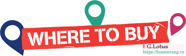 mua-can-dien-tu-where-to-buy-hoasenvang-ergerg34t34 Đang tìm Thiết bị cân bàn Chống cháy nổ Dini Argeo: Giải pháp an toàn cho các vùng rủi ro ATEX Cân điện tử mua-can-dien-tu-where-to-buy-hoasenvang-ergerg34t34 Đang tìm Thiết bị cân bàn Chống cháy nổ Dini Argeo: Giải pháp an toàn cho các vùng rủi ro ATEX Cân điện tử