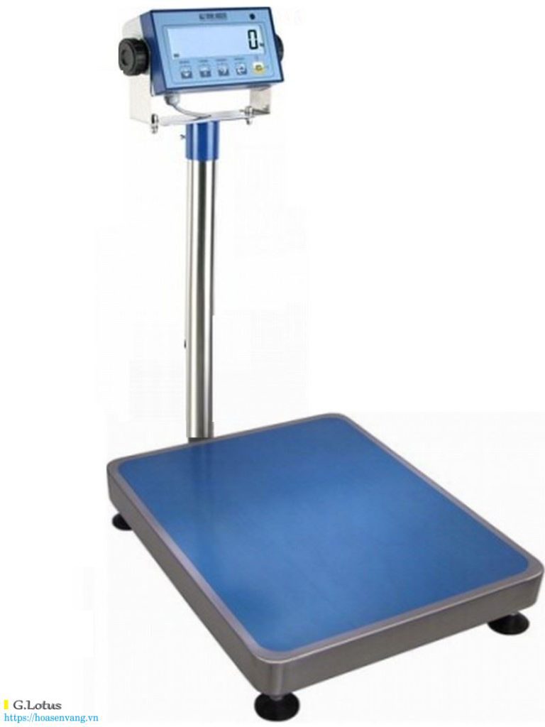 Cân bàn Dini Argeo DFWL-1 60kg chọn lựa hoàn chỉnh nhu yếu thương mại