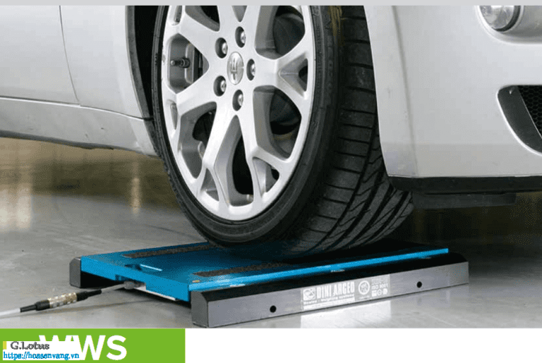 Giới thiệu dòng WWS Cân xe tải điện tử Dini Argeo cân động xe tải