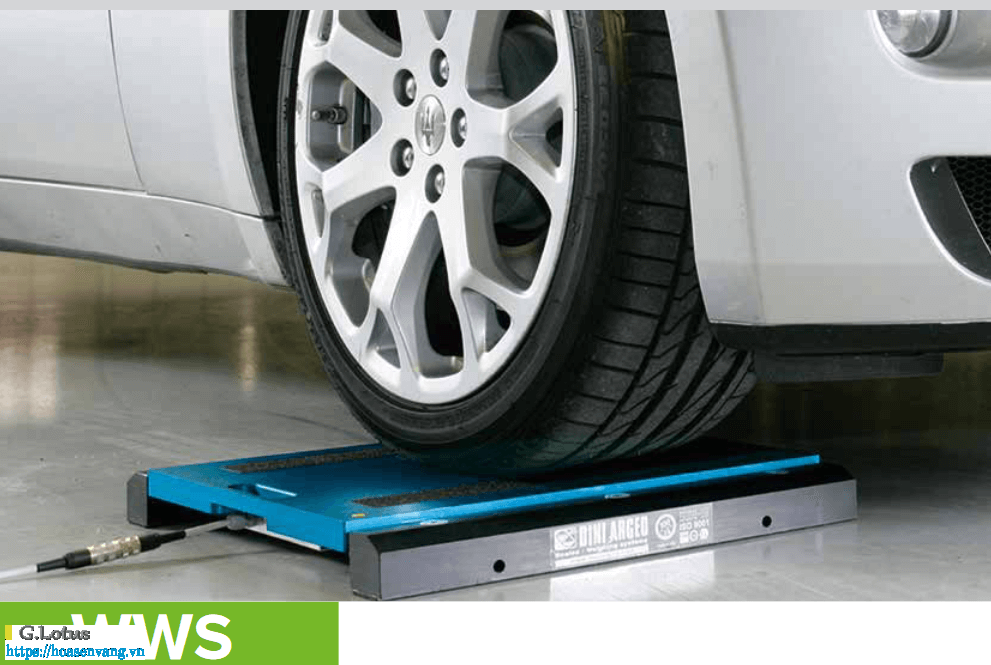 Giới thiệu dòng WWS Cân xe tải điện tử Dini Argeo cân động xe tải