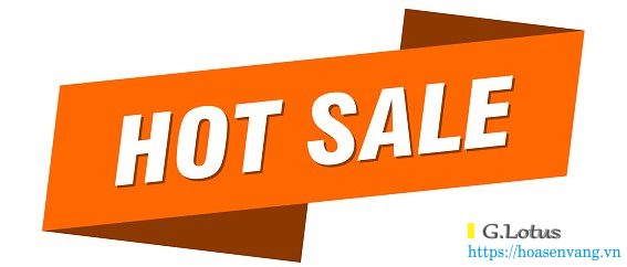 mua-can-dien-tu-hot-sale-hoasenvang-3232tr CTY chuyên cung cấp cân kỹ thuật Shimadzu BL-620S tại Việt Nam Cân điện tử mua-can-dien-tu-hot-sale-hoasenvang-3232tr CTY chuyên cung cấp cân kỹ thuật Shimadzu BL-620S tại Việt Nam Cân điện tử