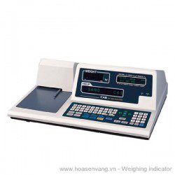 Thiết bị cân xe tải NT-600A – CAS