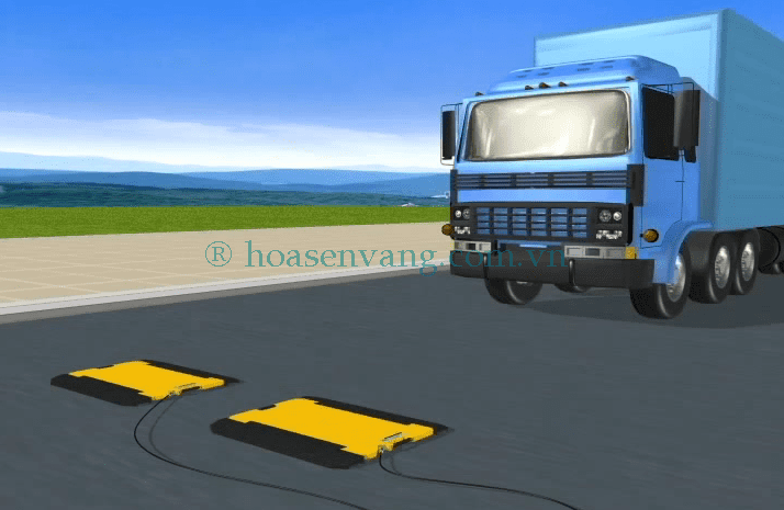 can xe tai xach tay CAS han quoc boi Hoa sen vang