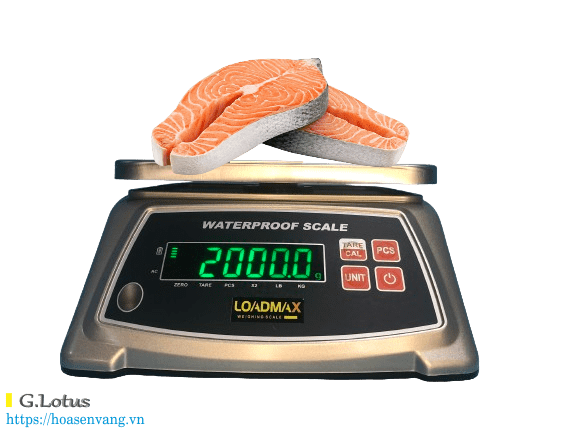 can-dien-tu-chong-nuoc-zw-5806-loadmax-can-thuy-san-hoasenvang-fish Giải Pháp Cân Chuẩn Xác & Tiên Tiến Cân Điện Tử Hoa Sen Vàng Cân điện tử can-dien-tu-chong-nuoc-zw-5806-loadmax-can-thuy-san-hoasenvang-fish Giải Pháp Cân Chuẩn Xác & Tiên Tiến Cân Điện Tử Hoa Sen Vàng Cân điện tử