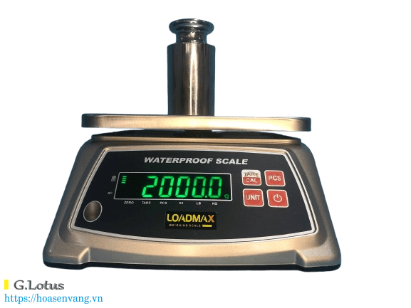 can-dien-tu-zw-5806-chong-nuoc-loadmax-we3 Giải Pháp Cân Chuẩn Xác & Tiên Tiến Cân Điện Tử Hoa Sen Vàng Cân điện tử can-dien-tu-zw-5806-chong-nuoc-loadmax-we3 Giải Pháp Cân Chuẩn Xác & Tiên Tiến Cân Điện Tử Hoa Sen Vàng Cân điện tử