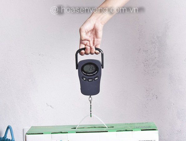 can-treo-dgl-digital-scale-3 🎯 Cân điện tử Mini DGL – giải pháp lý tưởng cho người bán hàng ⚖️👜 – Mua ngay tại Công ty Hoa Sen Vàng 📞💼 Cân điện tử can-treo-dgl-digital-scale-3 🎯 Cân điện tử Mini DGL – giải pháp lý tưởng cho người bán hàng ⚖️👜 – Mua ngay tại Công ty Hoa Sen Vàng 📞💼 Cân điện tử