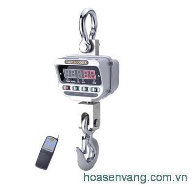 Tìm Hiểu Cân Treo OCS-XZ-A Model OCS-XZ-A – Thiết Bị Cân Chuyên Dụng Cho Doanh Nghiệp