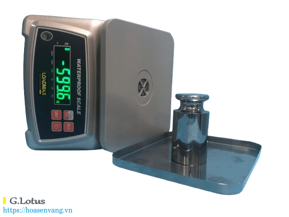 can-dien-tu-zw-5806-chong-nuoc-loadmax-7463 Thiết Bị Cân Số Hóa Chịu Nước ZW‑5806 Loadmax – Tối Ưu Đo Trọng Lượng Độ Sai Số Thấp, Độ Bền Cao Giữa Không Gian Thử Thách Cân điện tử can-dien-tu-zw-5806-chong-nuoc-loadmax-7463 Thiết Bị Cân Số Hóa Chịu Nước ZW‑5806 Loadmax – Tối Ưu Đo Trọng Lượng Độ Sai Số Thấp, Độ Bền Cao Giữa Không Gian Thử Thách Cân điện tử
