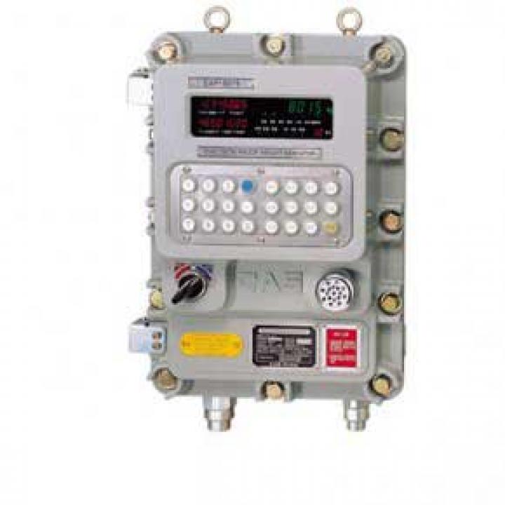 Màn hình chỉ thị trọng lượng điện tử CAS EXP-8015A