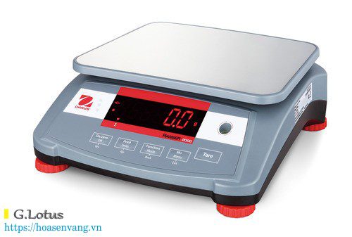 Cân công nghiệp Ohaus Ranger 2000 hiện đại với các ứng dụng vượt trội – Hãy khám phá sản phẩm ngay.