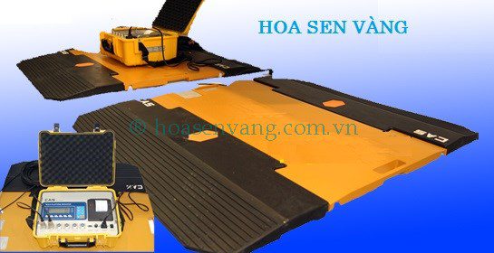Cân Điện Tử Xe Tải Di Động RW-15P – Thiết Bị Linh Hoạt Phục Vụ Doanh Nghiệp