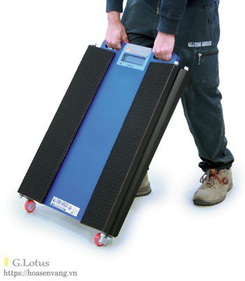 Giải Pháp Cân Xe Tải Di Động Model WWSD Dini Argeo – Lựa Chọn Cân Di Chuyển Hiệu Quả Cao Cho Giao Thông Vận Tải