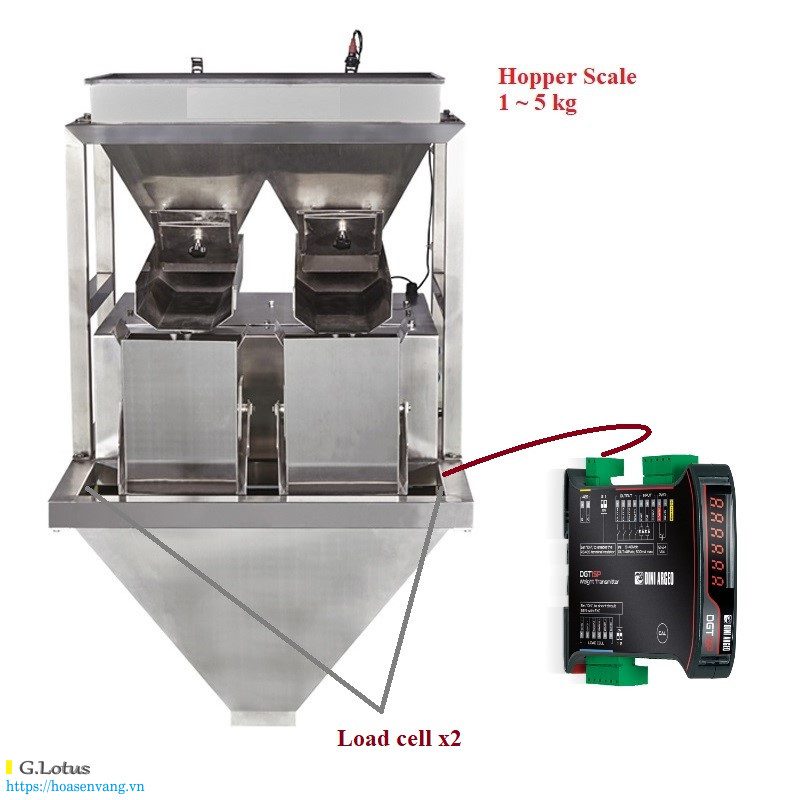 /wp-content/uploads/2025/06/bulk-weighing-system-hopper-scale-2.jpg