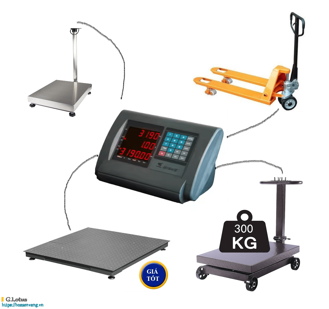 Đầu Điều khiển Kỹ thuật số XK3190-A15E