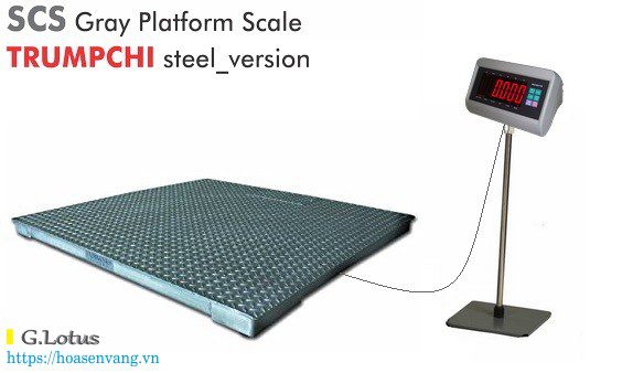 Cân bàn điện tử 500kg – lựa chọn tối ưu cho xưởng sản xuất và đóng gói hàng hóa